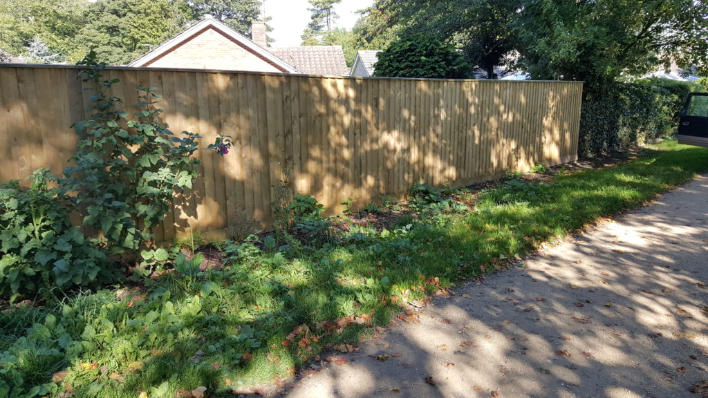 capped feather edge fencing